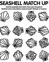 Shells Coloring Pages Colouring sketch template