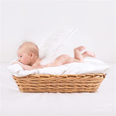baby  feather wings photograph  anna om fine art america