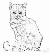 Kitten Lineart Realistic Drawing Deviantart Getdrawings sketch template