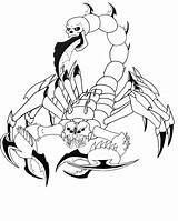 Scorpions Clipartbest sketch template