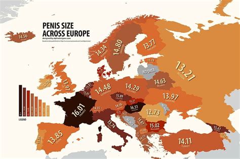 average erect penis length in europe r europe
