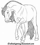 Horse Drawing Standing Front Head Getdrawings Explore Paintingvalley Drawings sketch template