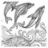 Coloring Dolphin Zentangle Pages Three Top sketch template