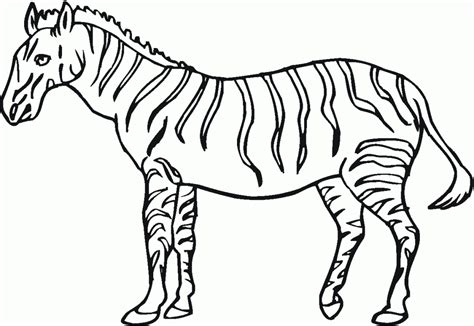 piekna zebra  druku mamydziecipl