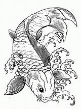 Koi Fish Kleurplaat Carp Youngandtae Psychedelic Stemmen sketch template