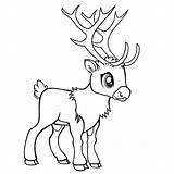 Reindeer Posted sketch template