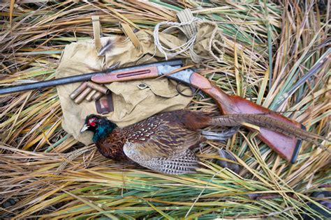 tips   successful pheasant hunt pine hill sportsmans club