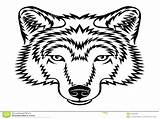 Wolf Coloring Pages Face Printable Getcolorings Getdrawings sketch template