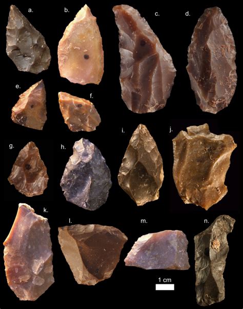 study tracks  evolution  stone tools ars technica