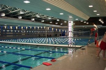 arundel olympic swim center anne arundel county md olympic