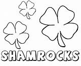 Shamrock Coloring Pages Printable Print Shamrocks St Kids Patricks Everfreecoloring Children sketch template