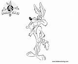 Wile Coyote Looney Tunes Coloring Pages Kids Printable Color sketch template