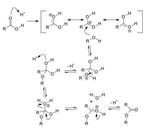 organic chemistry   esterification reactions reversible    general mechanism