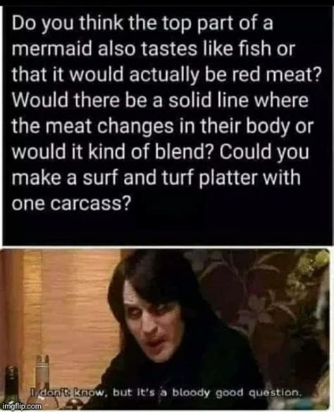 The Best Mermaid Memes Memedroid