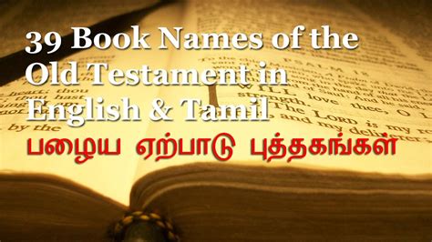 testament   books  structure   bible divisions
