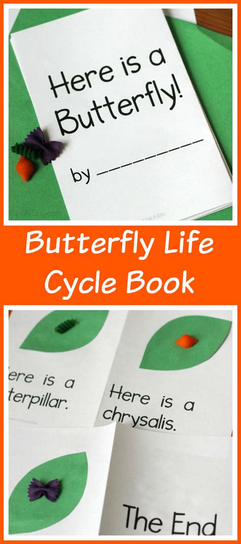 butterfly life cycle printable book fun  day