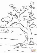 Winter Coloring Tree Pages Printable Trees Ausmalbilder Supercoloring Color Kids Nature Christmas Colouring Sheet Drawing Save Printables sketch template