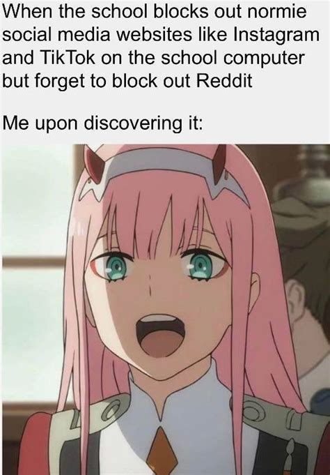 freely  reddit  animemes anime memes funny funny