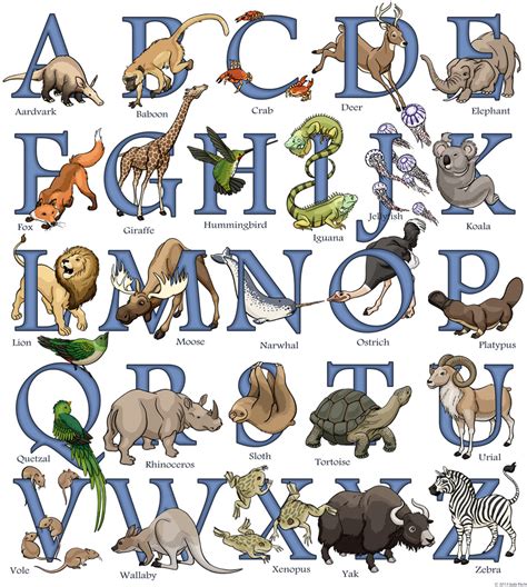 jada fitch illustration animal alphabet