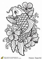 Koi Carpe Poisson Hugolescargot Coloriages Japon Coy Escargot Japonais Poissons Visiter Xăm Nhật Hình Carp sketch template