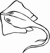 Stingray Coloring Pages Supercoloring Color sketch template