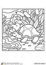 Coloring Pages Coloriages Choose Board Animaux Alphabet Imagen Para sketch template