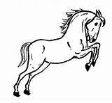 Disegni Da Jumping Animali Coloring Di Horse Colorare Cavalli Per Coloringcrew Cavallo Bambini Fattoria Della Salvato sketch template