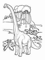 Coloring Pages Brontosaurus Clipart Dinosaur Library sketch template