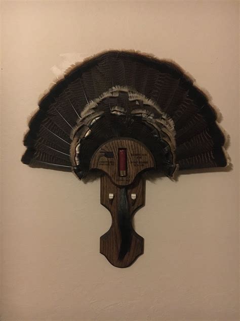 turkey fan mount template printable cs taxidermy   step  step