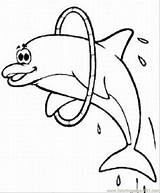 Dolphin Coloring Printable Popular sketch template