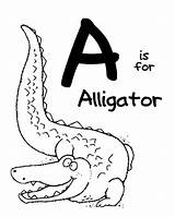 Coloring Letter Animal Alligator Pages Zoo Alphabet Printable Sheets Letters Preschool Color Animals Abc Moms Being Kids Alligators Activities Inspirations sketch template