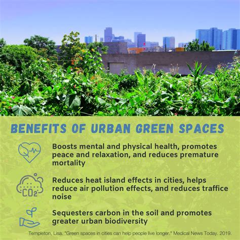 importance  urban green spaces denver urban gardens