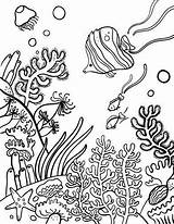 Coloring Reef Pages Barrier Great Coral Colouring Fish Drawing Printable Kids Color sketch template