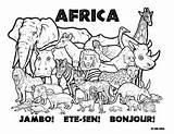Coloring Africa Animals Kids Wildlife Wild Zoo Pages African Animal Colouring South Teacherspayteachers Conservation Geography Choose Board Mix Do sketch template