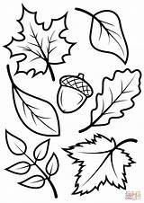 Thanksgiving Leaves Coloring Pages Print Printable Color Getcolorings Happy sketch template