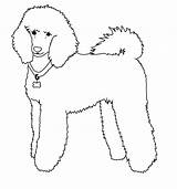 Poodle Caniche Pudel Bichon Malvorlage Frise Rapido Aprende Skirts Tierno sketch template