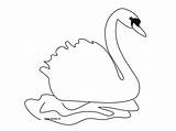 Swan Coloring Pages Template Animal Drawing Results Baby Choose Board Print sketch template