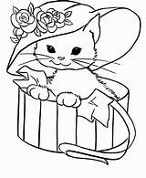 Katze Gatito Kostenlos Ausmalbild Malvorlagen Glasses Coraline Q1 sketch template