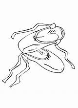 Bailarinas Schuhe Bailarina Ballett Ausmalbild Pintar Coloringhome Q1 Letzte sketch template