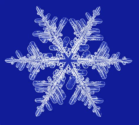 snowflake photographs snowcrystalscom