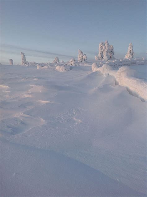 levi finland early winter deep winter winter fairy  snow harvest season lapland late