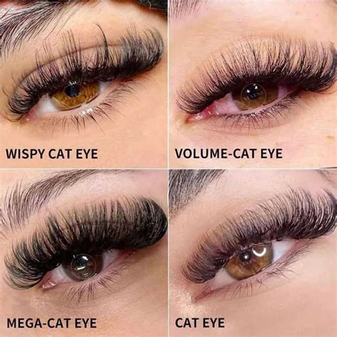 cat eyelash extensions     popular style