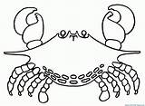 Horseshoe Crab sketch template