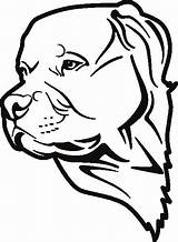 Hunde Ausmalbilder Cani Malvorlage Tiere Ausmalbild Testa Heilpaedagogik Oder sketch template