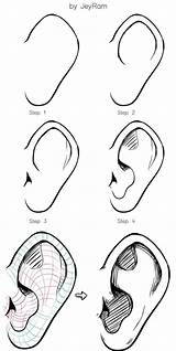 Ears sketch template