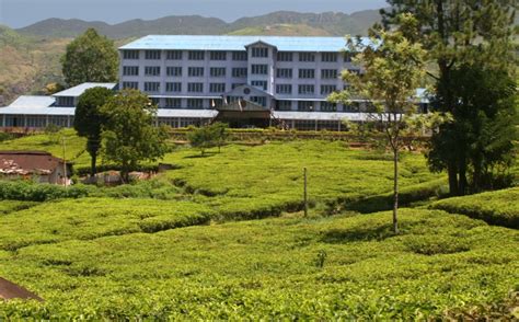 tea factory hotel nuwara eliya