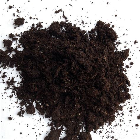 peat moss large bulk bags  peat moss  sale   prices
