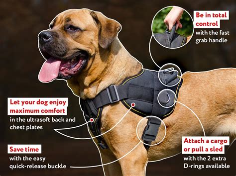 multifunctional nylon dog harness  chest plate  nylon dog