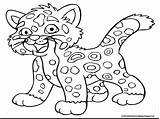 Coloring Pages Getdrawings Animal Real Animals sketch template