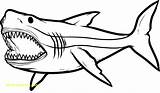 Megalodon Sharks Etk Printables Clipartbest Clipartmag Hungry sketch template